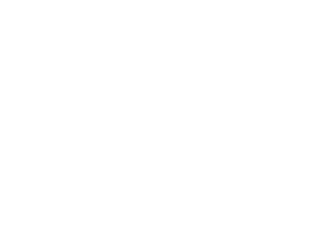 Lazo